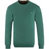 BOSS ORANGE Sweatshirt grün