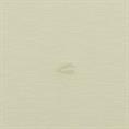 CAMEL ACTIVE Henley-Shirt mint