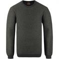 CAMEL ACTIVE Pullover grün
