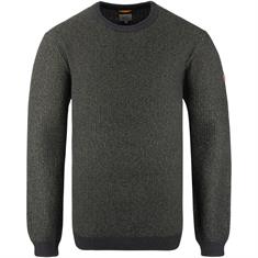 CAMEL ACTIVE Pullover grün