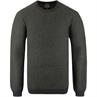 CAMEL ACTIVE Pullover grün