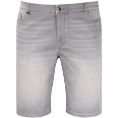 CAMEL ACTIVE Shorts grau