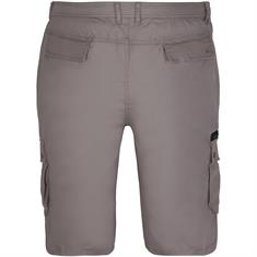 CAMEL ACTIVE Shorts grau