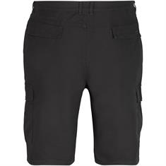 CAMEL ACTIVE Shorts grau