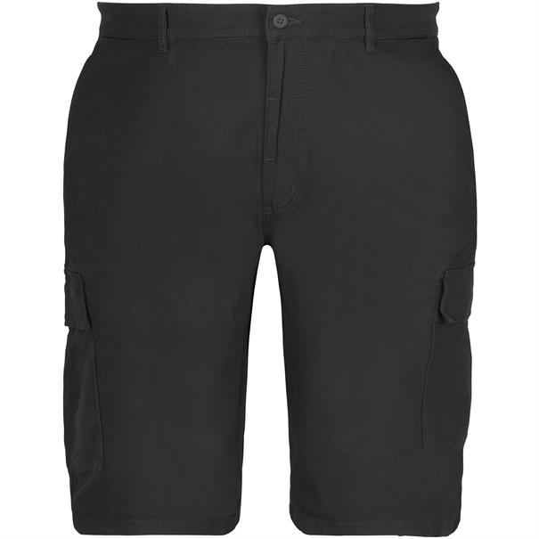 CAMEL ACTIVE Shorts grau