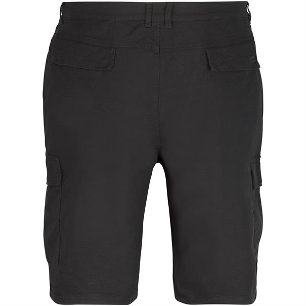 CAMEL ACTIVE Shorts grau