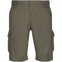CAMEL ACTIVE Shorts oliv