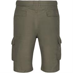 CAMEL ACTIVE Shorts oliv