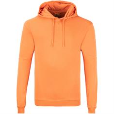 CAMEL ACTIVE Sweatshirt orange