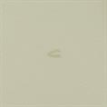 CAMEL ACTIVE T-Shirt lime