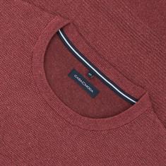 CASAMODA Pullover bordeaux