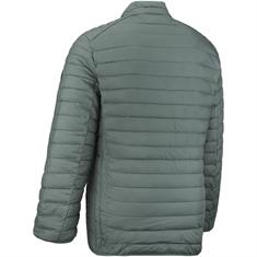 CASAMODA Steppjacke grün