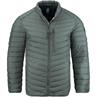 CASAMODA Steppjacke grün