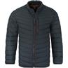 CASAMODA Steppjacke marine