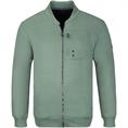 CASAMODA Sweatjacke grün