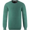 FYNCH HATTON Pullover grün