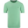 FYNCH HATTON T-Shirt hellgrün
