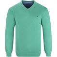 FYNCH HATTON V-Pullover grün