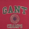 GANT Kapuzen-Sweatshirt rot