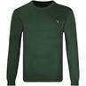 GANT Pullover grün