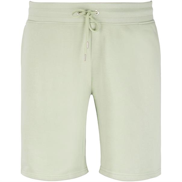 GANT Shorts grün