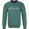 GANT Sweatshirt grün
