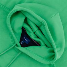 GANT Sweatshirt grün