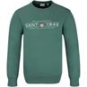 GANT Sweatshirt grün