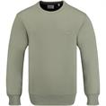GANT Sweatshirt schilf