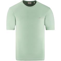 GANT T-Shirt grün