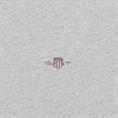 GANT T-Shirt hellgrau