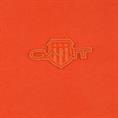 GANT T-Shirt orange