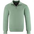 GANT Troyer-Sweatshirt hellgrün