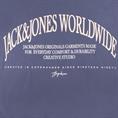 JACK & JONES Hoodie blau