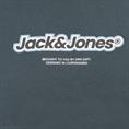 JACK & JONES Hoodie - EXTRA lang grün