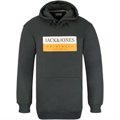 JACK & JONES Hoodie - EXTRA lang grün