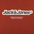 JACK & JONES Hoodie - EXTRA lang rostbraun