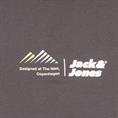 JACK & JONES Hoodie grau