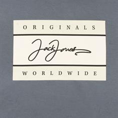 JACK & JONES Hoodie grau