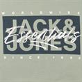 JACK & JONES Hoodie grün