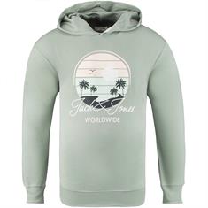 JACK & JONES Hoodie hellgrün