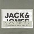 JACK & JONES Sweatshirt grün