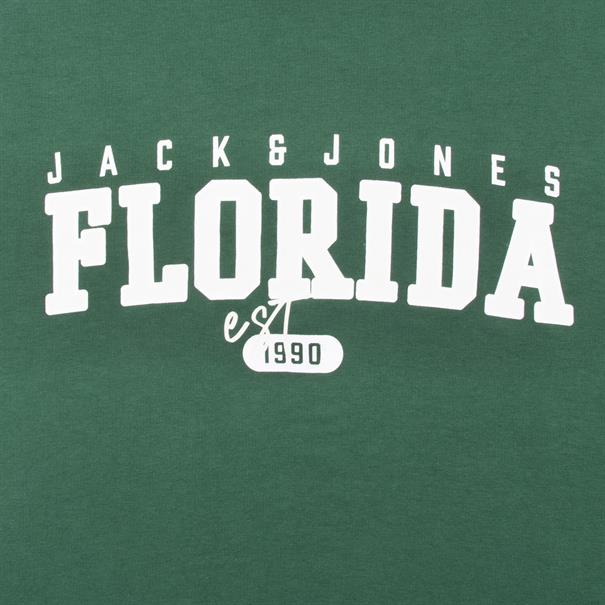 JACK & JONES Sweatshirt grün