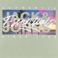JACK & JONES T-Shirt hellgrün