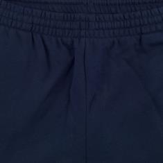 LACOSTE Shorts blau