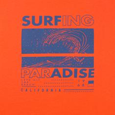 NORTH T-Shirt orange
