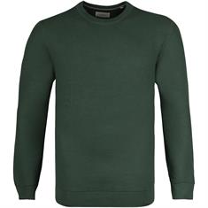 S.OLIVER Pullover grün