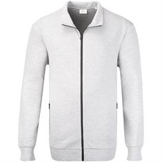 S.OLIVER Sweatjacke grau