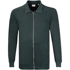 S.OLIVER Sweatjacke grün
