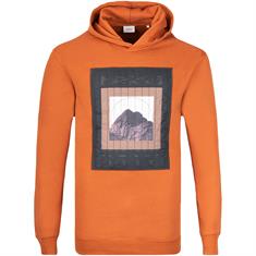 S.OLIVER Sweatshirt orange